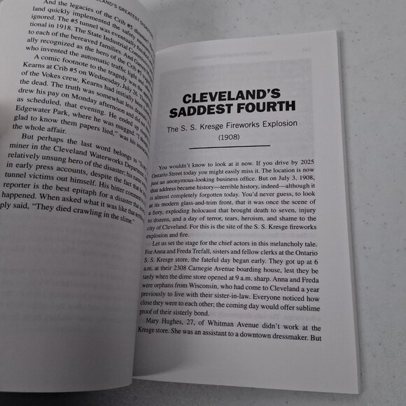 Cleveland Ohio Historical Book Lot of 3 Greatest Disasters World War I Cle Past - Picture 10 of 16